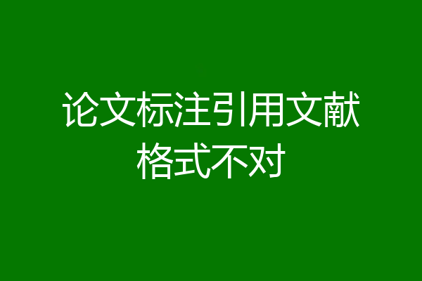 论文标注引用文献格式不对