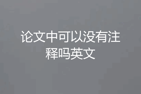 论文中可以没有注释吗英文