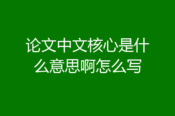论文中文核心是什么意思啊怎么写