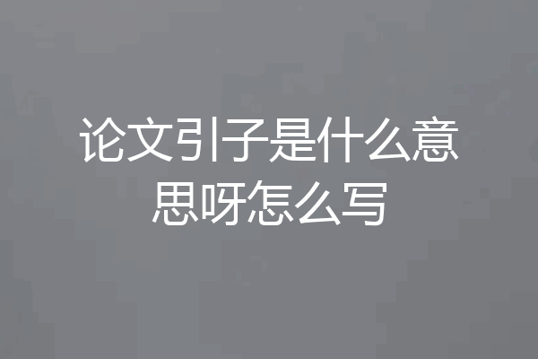 论文引子是什么意思呀怎么写