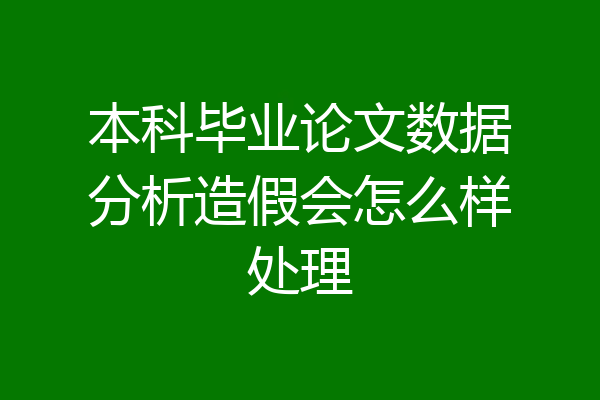 本科毕业论文数据分析造假会怎么样处理