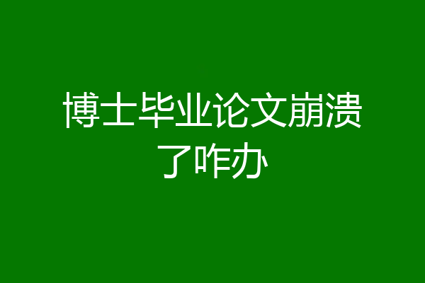 博士毕业论文崩溃了咋办