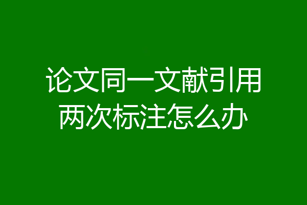 论文同一文献引用两次标注怎么办