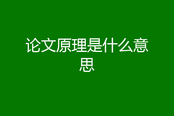 论文原理是什么意思