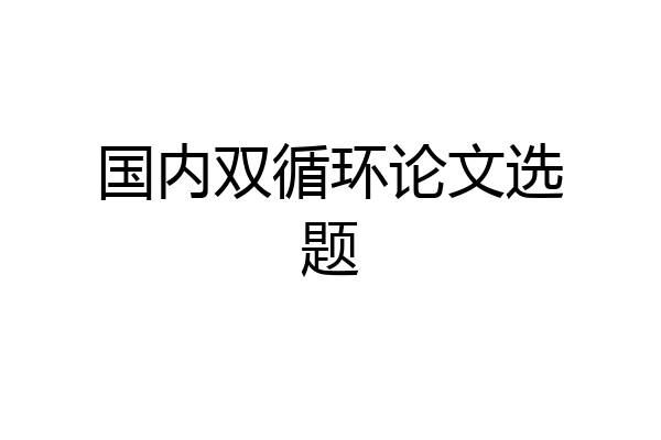 国内双循环论文选题