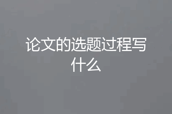 论文的选题过程写什么