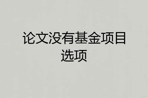 论文没有基金项目选项