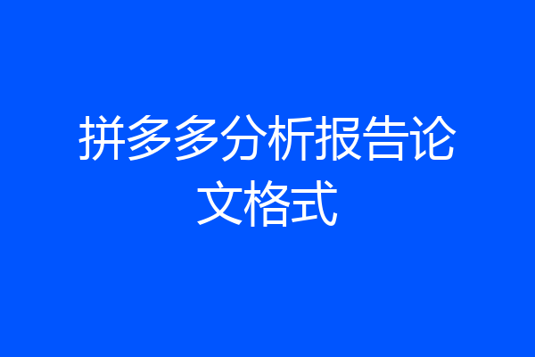 拼多多分析报告论文格式