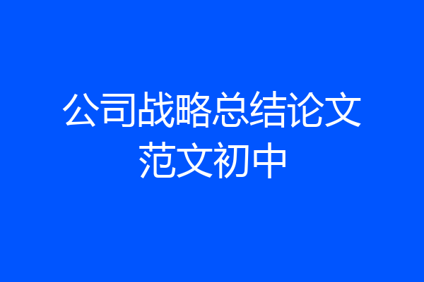 公司战略总结论文范文初中