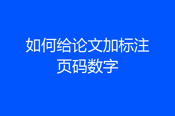 如何给论文加标注页码数字
