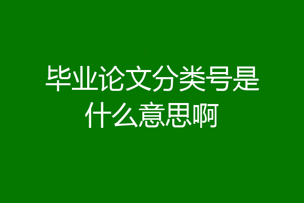 毕业论文分类号是什么意思啊