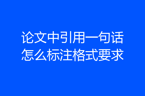 论文中引用一句话怎么标注格式要求