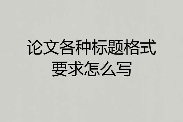 论文各种标题格式要求怎么写
