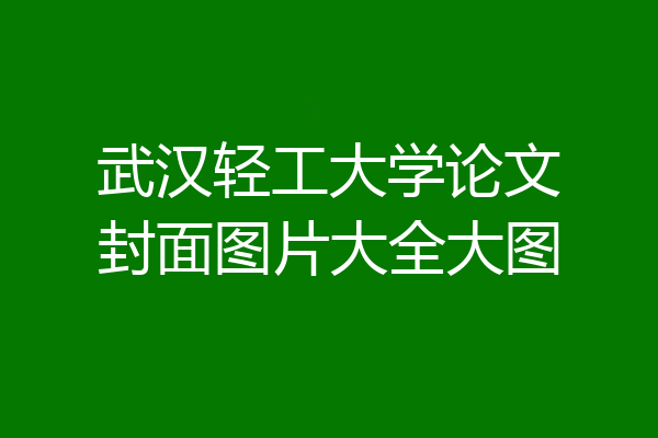 武汉轻工大学论文封面图片大全大图