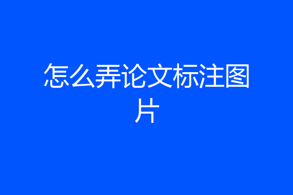 怎么弄论文标注图片