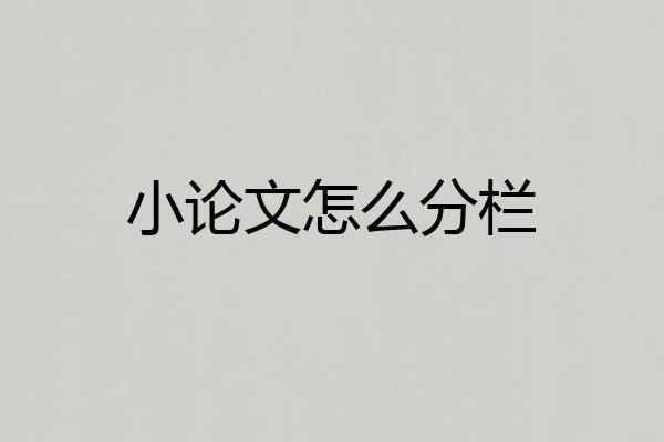 小论文怎么分栏