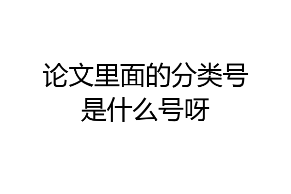 论文里面的分类号是什么号呀