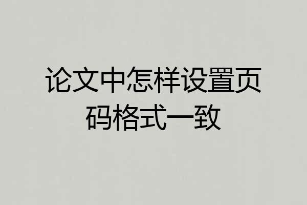 论文中怎样设置页码格式一致