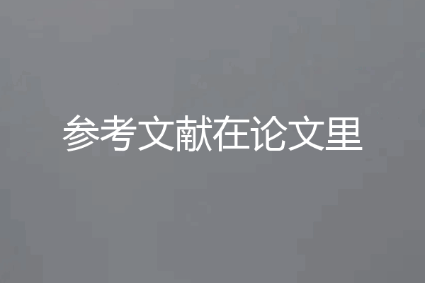 参考文献在论文里