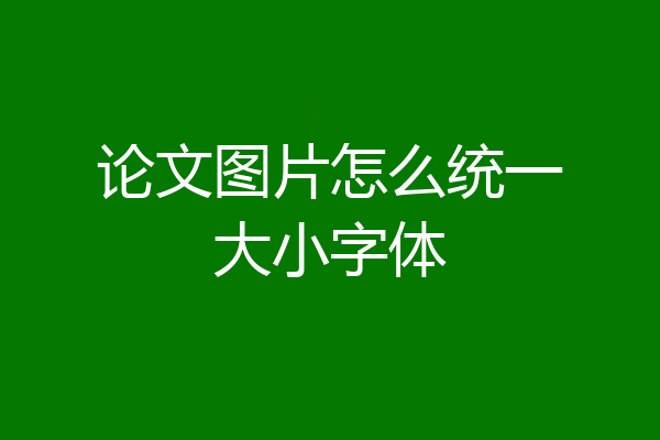 论文图片怎么统一大小字体