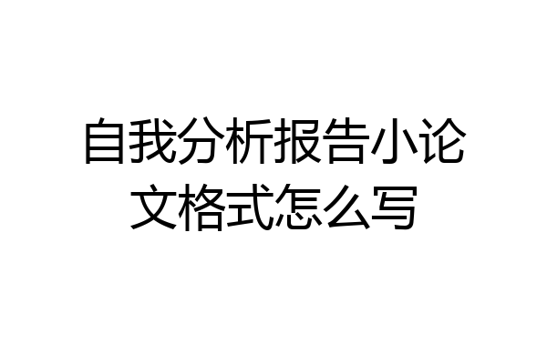 自我分析报告小论文格式怎么写