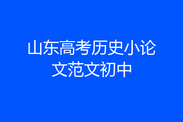 山东高考历史小论文范文初中