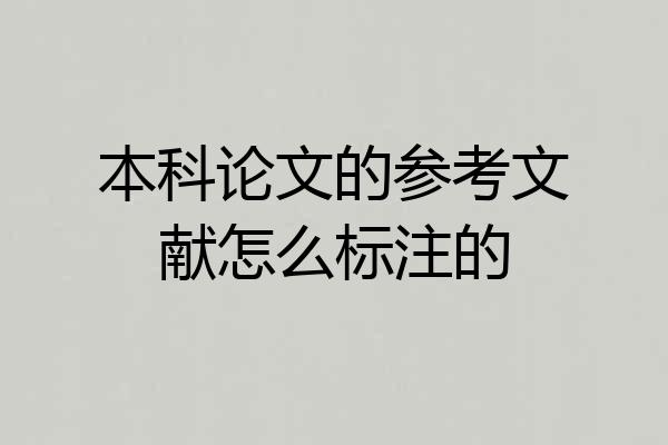 本科论文的参考文献怎么标注的