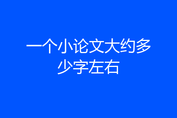 一个小论文大约多少字左右