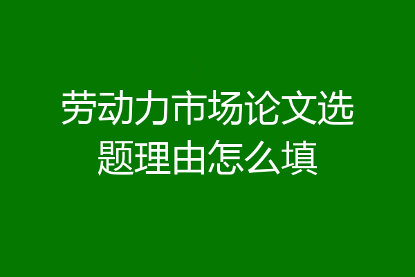劳动力市场论文选题理由怎么填