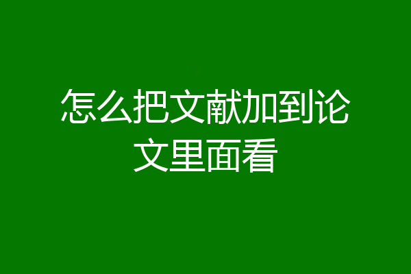 怎么把文献加到论文里面看