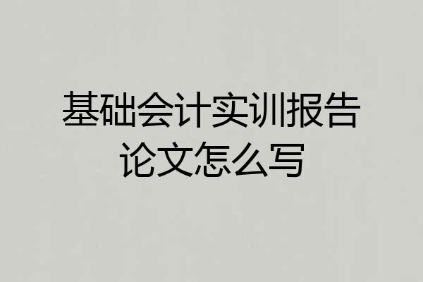 基础会计实训报告论文怎么写