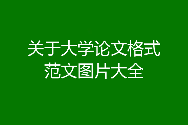 关于大学论文格式范文图片大全