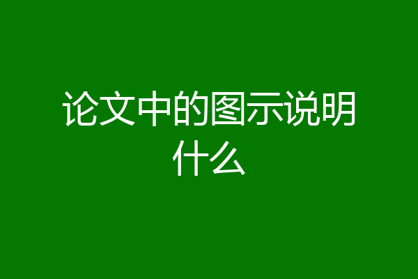 论文中的图示说明什么