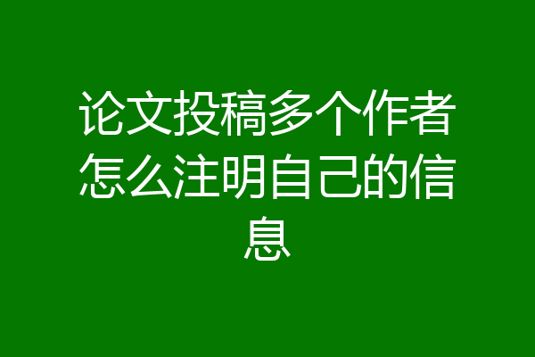 论文投稿多个作者怎么注明自己的信息
