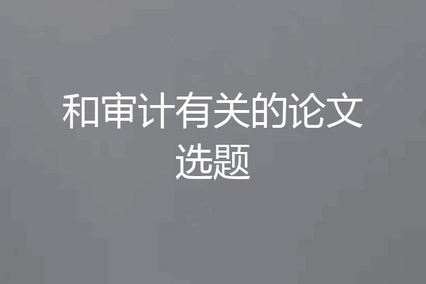 和审计有关的论文选题