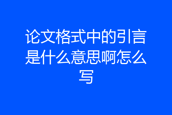 论文格式中的引言是什么意思啊怎么写