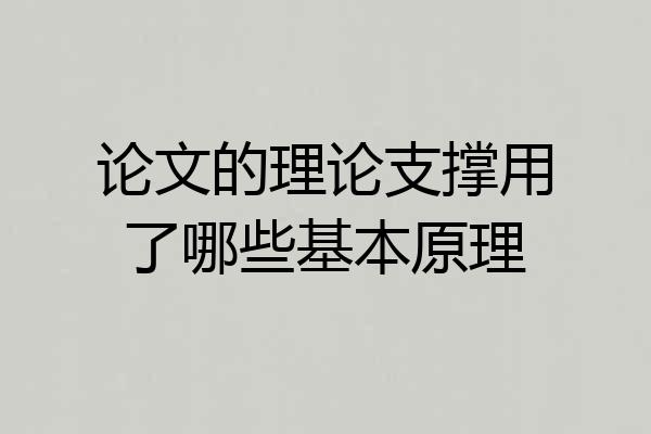 论文的理论支撑用了哪些基本原理
