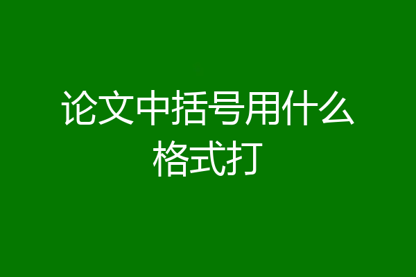 论文中括号用什么格式打