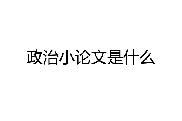 政治小论文是什么
