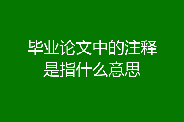 毕业论文中的注释是指什么意思