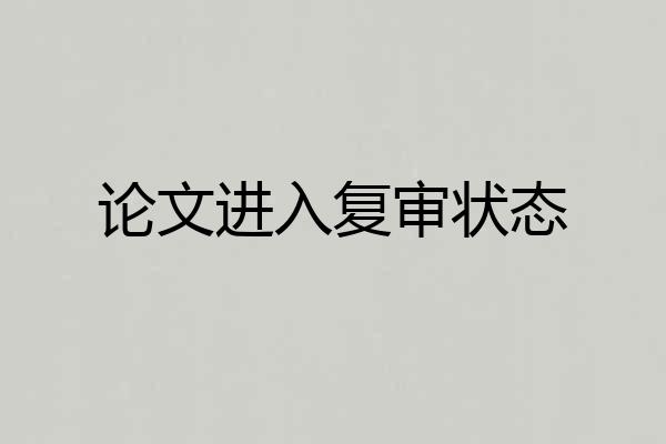 论文进入复审状态