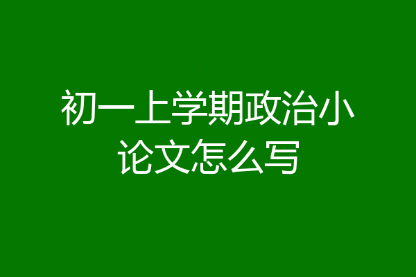 初一上学期政治小论文怎么写