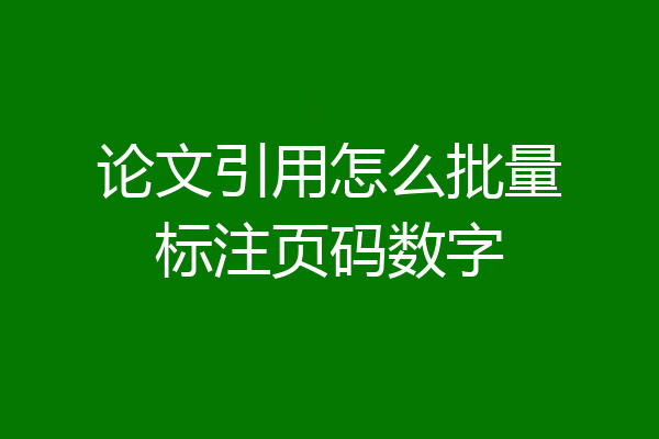 论文引用怎么批量标注页码数字