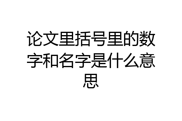 论文里括号里的数字和名字是什么意思
