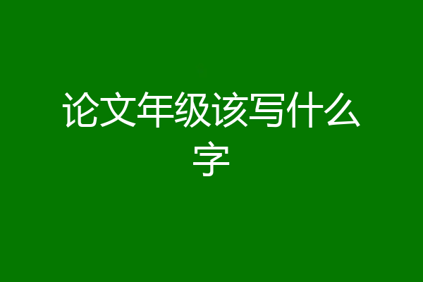 论文年级该写什么字