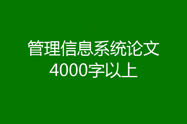 管理信息系统论文4000字以上