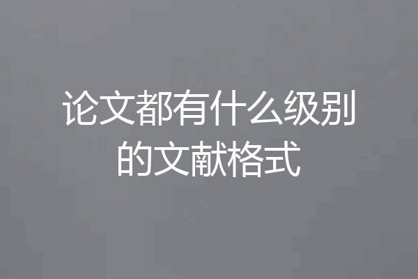 论文都有什么级别的文献格式