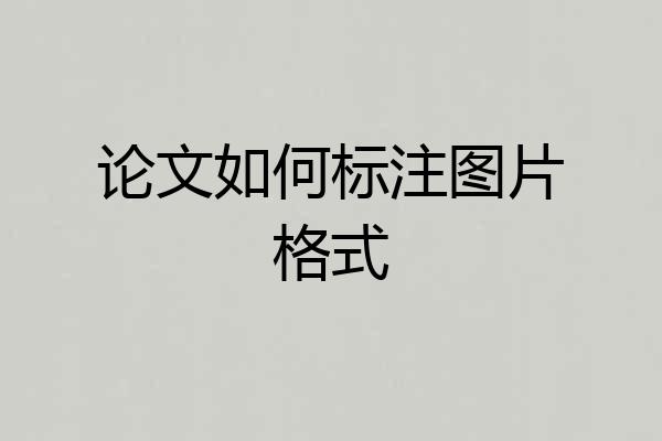 论文如何标注图片格式
