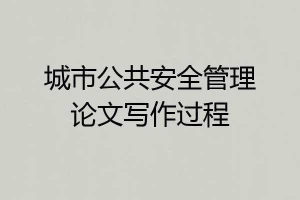 城市公共安全管理论文写作过程