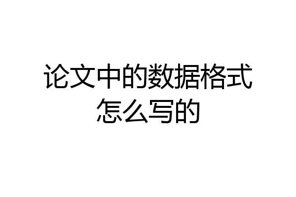 论文中的数据格式怎么写的